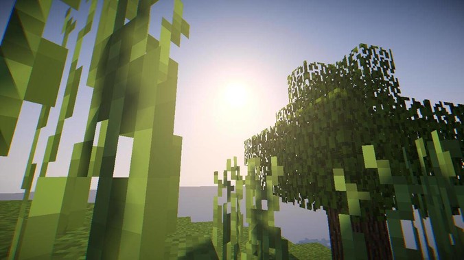 如何判断鱼缸中的硝化系统是否已经成功建立？