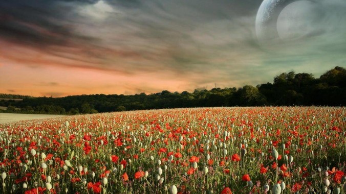 为什么国内没有一个发布需求的***或网站呢？